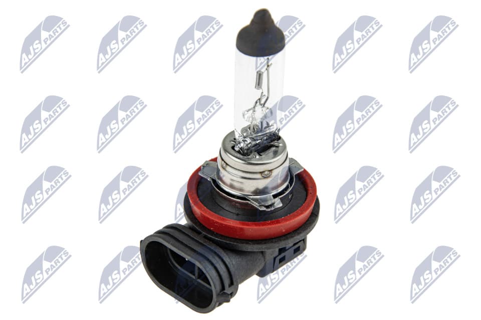 NTY AMPOULE HALOGENE H1112V55W