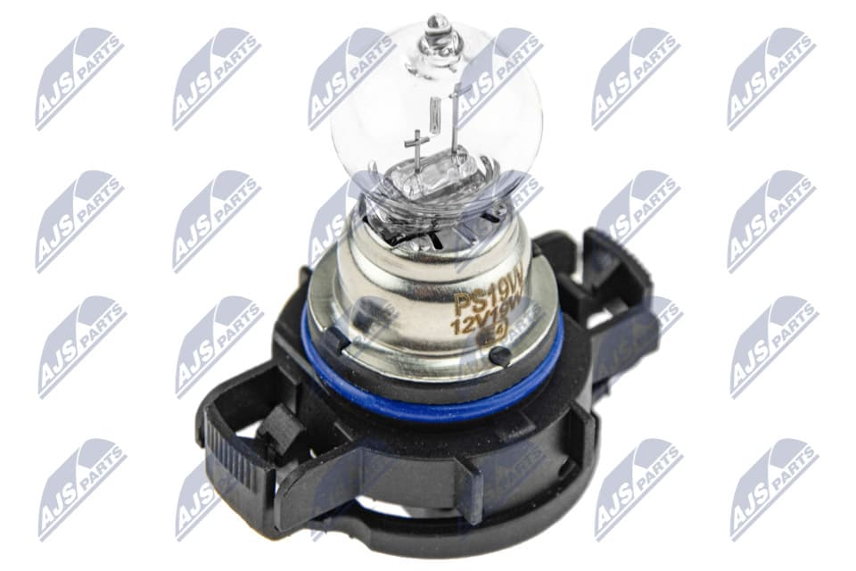 NTY (OPAKOWANIE 10 SZT.) AMPOULE PS19W