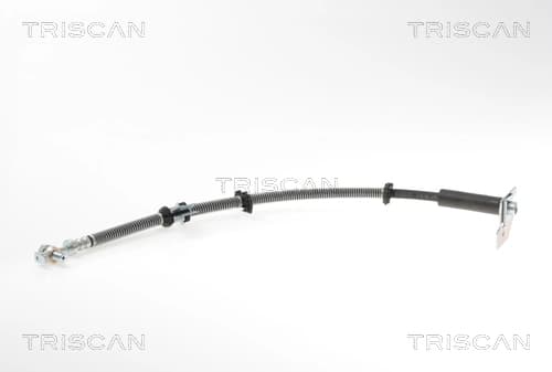 Flexible de frein