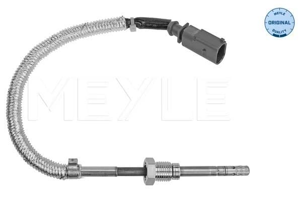 Capteur, température des gaz