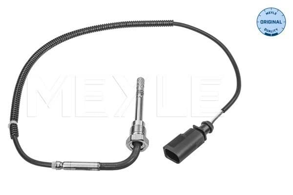 Capteur, température des gaz