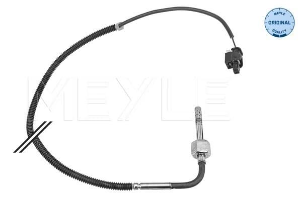 Capteur, température des gaz