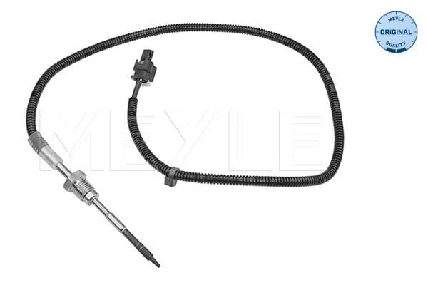 Capteur, température des gaz