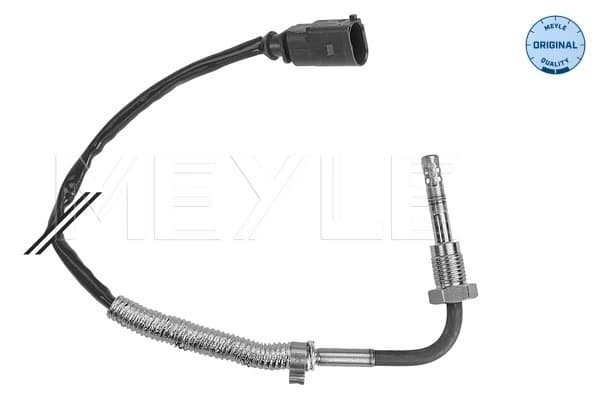 Capteur, température des gaz