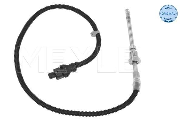 Capteur, température des gaz