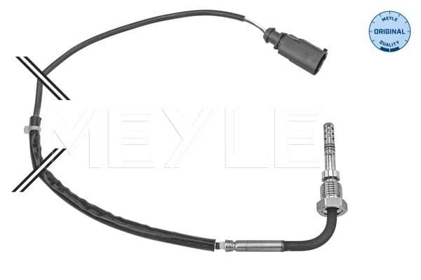 Capteur, température des gaz