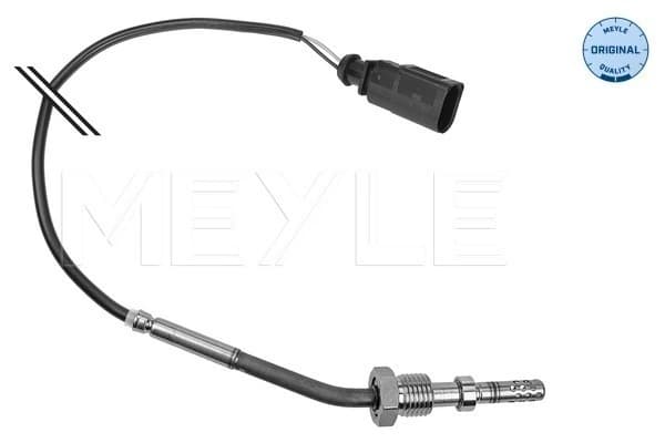Capteur, température des gaz