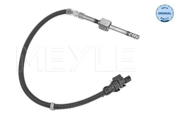 Capteur, température des gaz