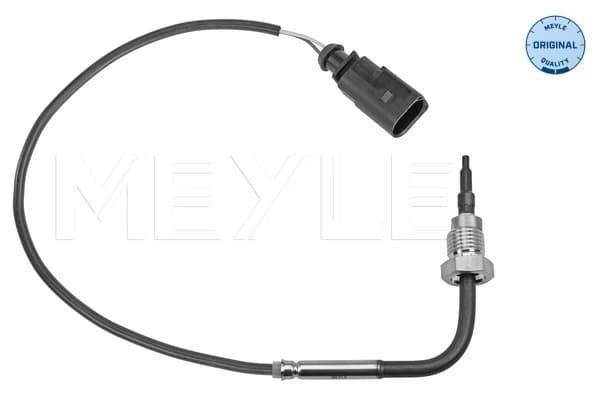 Capteur, température des gaz