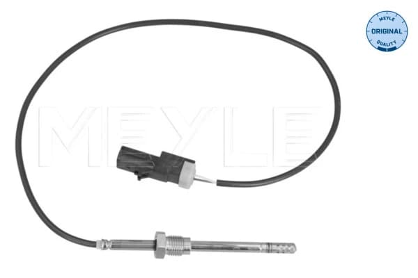 Capteur, température des gaz