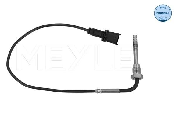 Capteur, température des gaz