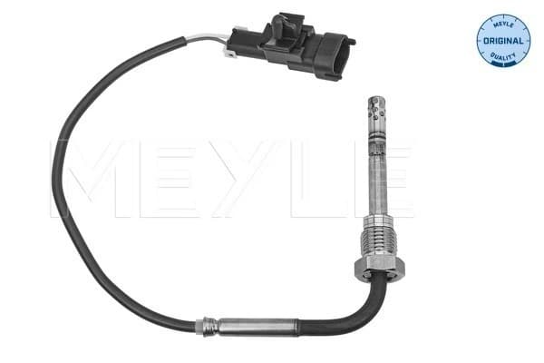 Capteur, température des gaz
