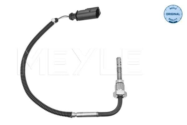 Capteur, température des gaz