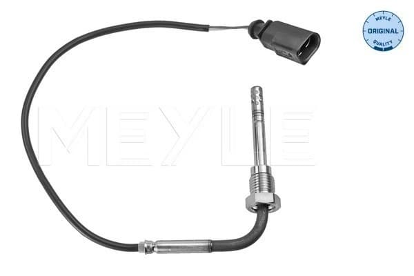 Capteur, température des gaz