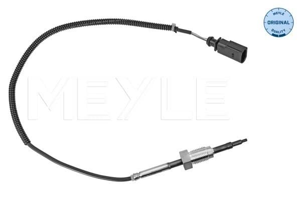 Capteur, température des gaz