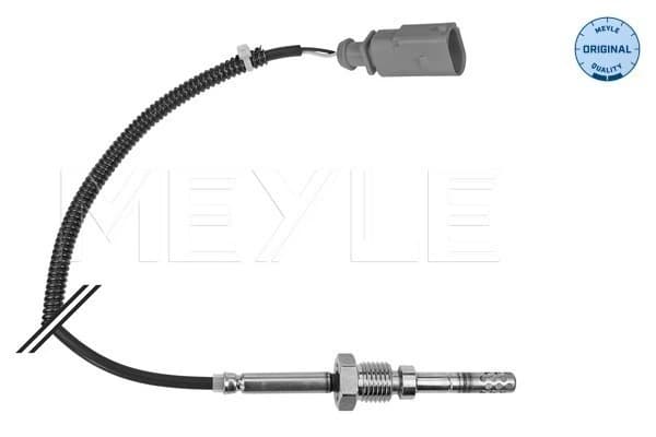 Capteur, température des gaz