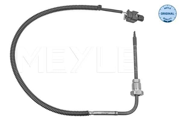 Capteur, température des gaz