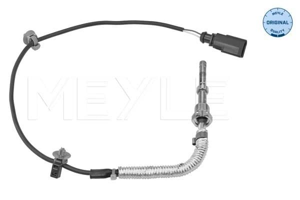 Capteur, température des gaz
