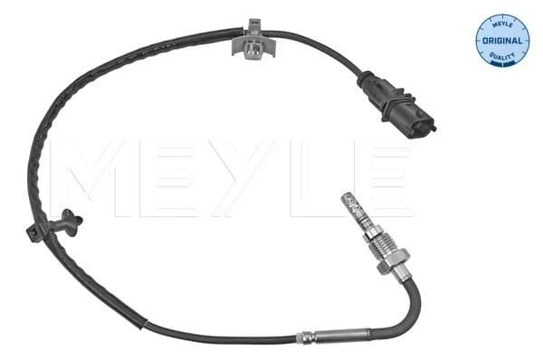 Capteur, température des gaz
