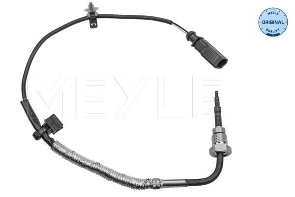 Capteur, température des gaz