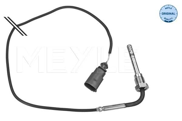 Capteur, température des gaz