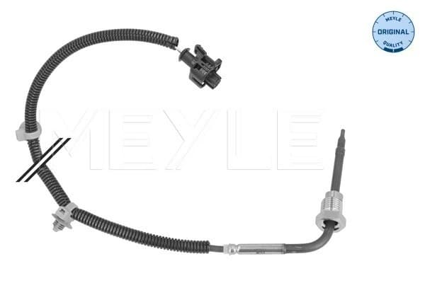 Capteur, température des gaz