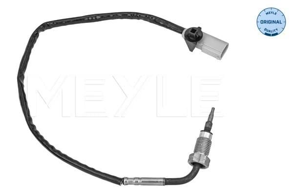 Capteur, température des gaz