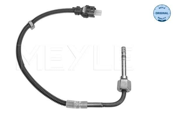 Capteur, température des gaz