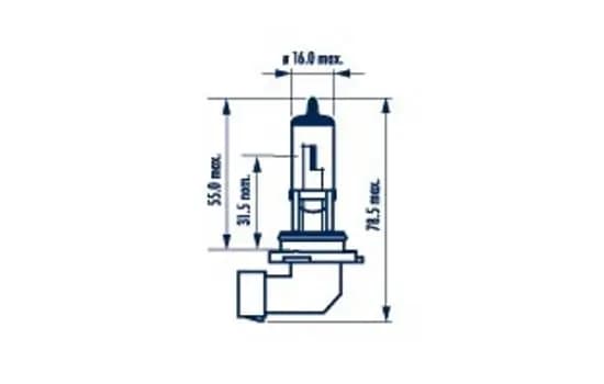 Ampoule, projecteur principal