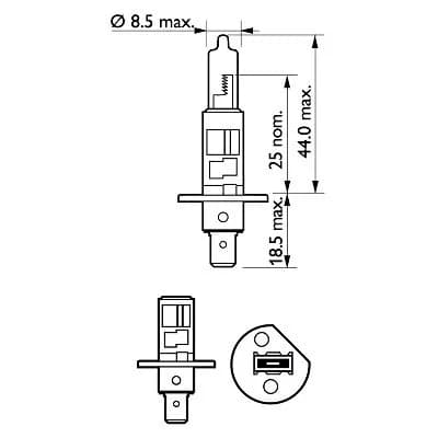 Ampoule