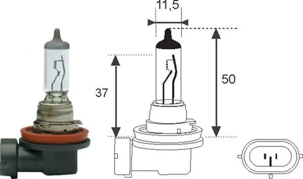 Ampoule, projecteur principal